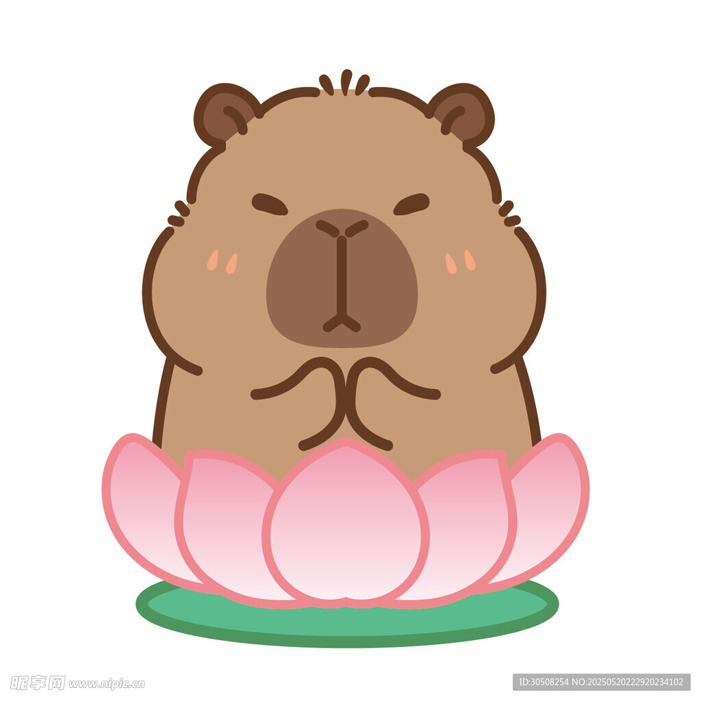 卡皮巴拉坐莲花冥想