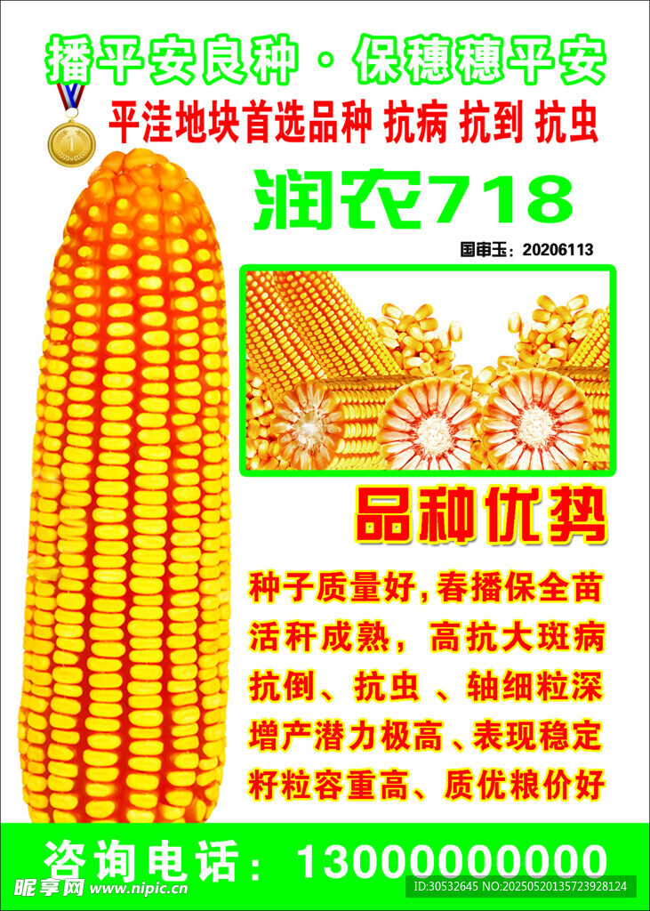 玉米种子海报 