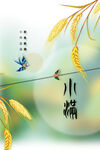 小满节气海报