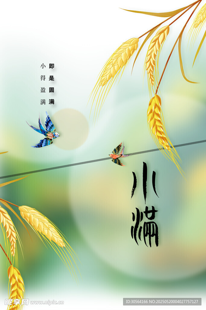 小满节气海报