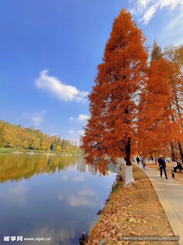 秋天