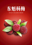 杨梅海报图片