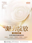 美容护肤品
