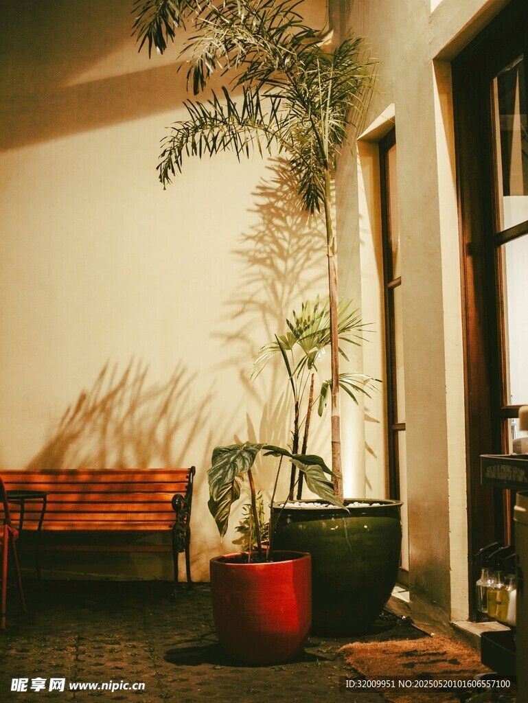 室内绿植装点温馨角落