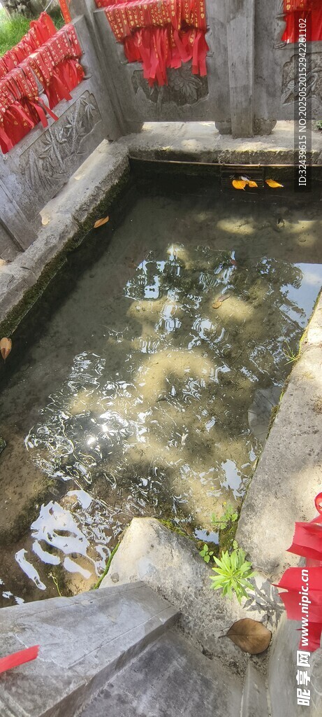 中式庭院中的灵动小水池