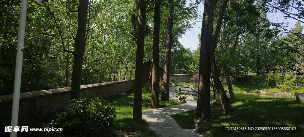 林间小径漫步场景