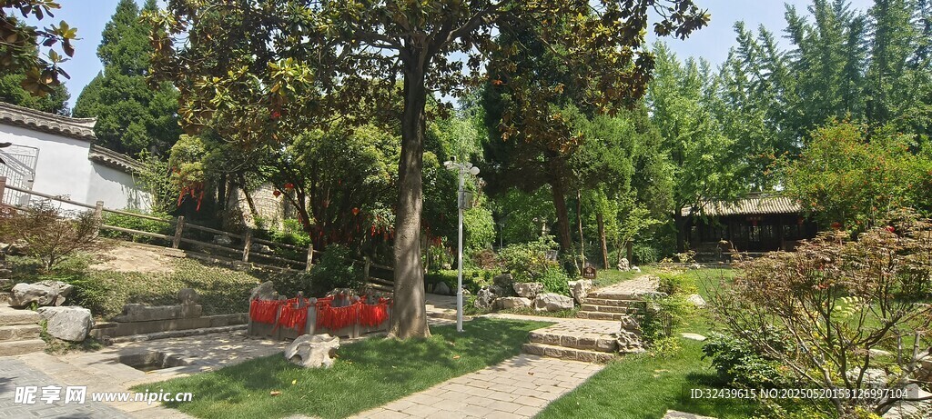 宁静美丽的庭院景观