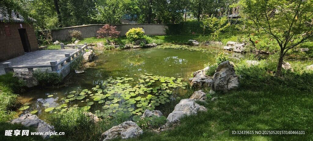 静谧庭院绿植景观