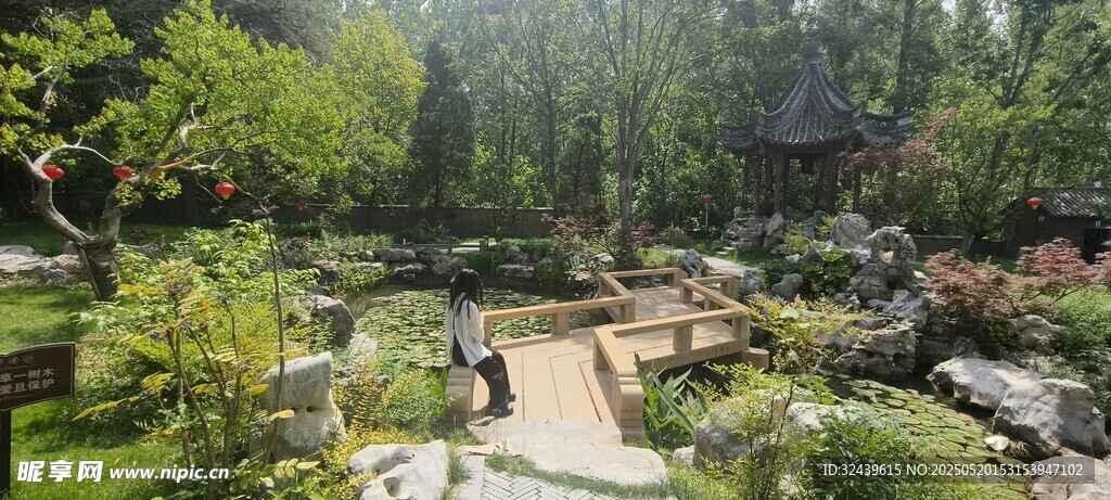 中式园林景观小径美景