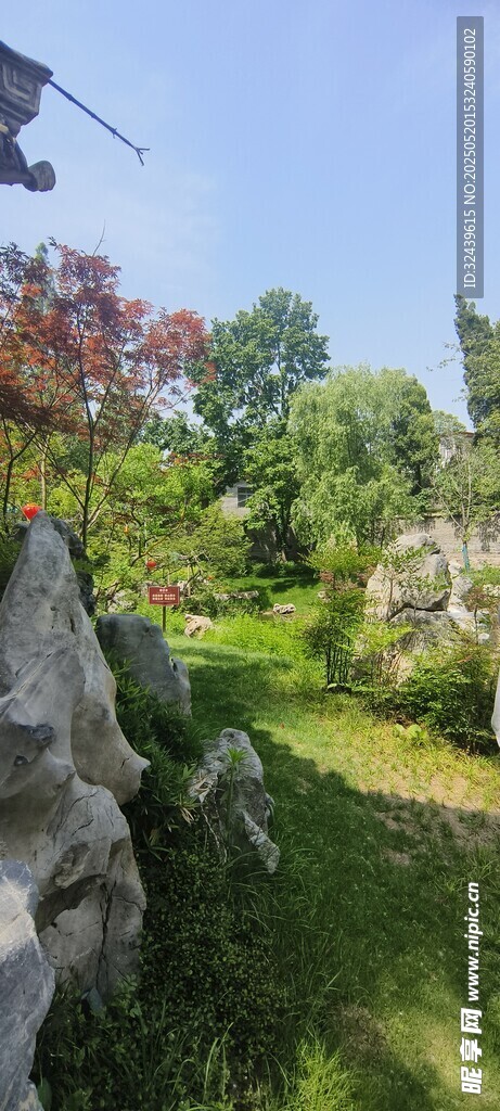园林景观中的绿植与雕塑