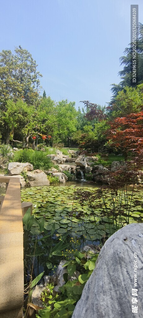 园林景致中的绿植与石景