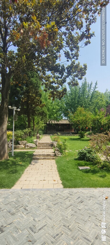 宁静庭院小径景观