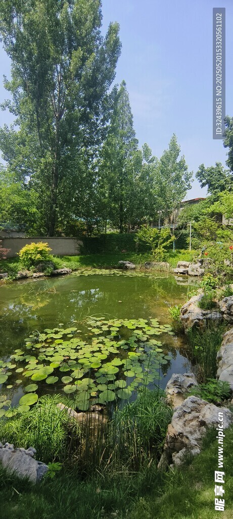 静谧中式园林池塘景观