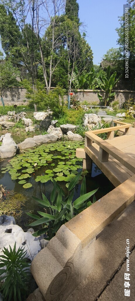 花园景观中的绿植与装饰