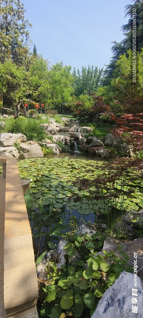 山间绿植景观