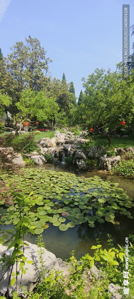 美丽园林景观