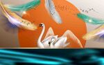 梦幻天鹅水中优雅姿态