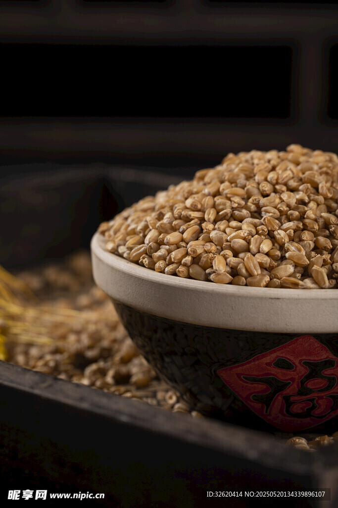 大麦 麦粒