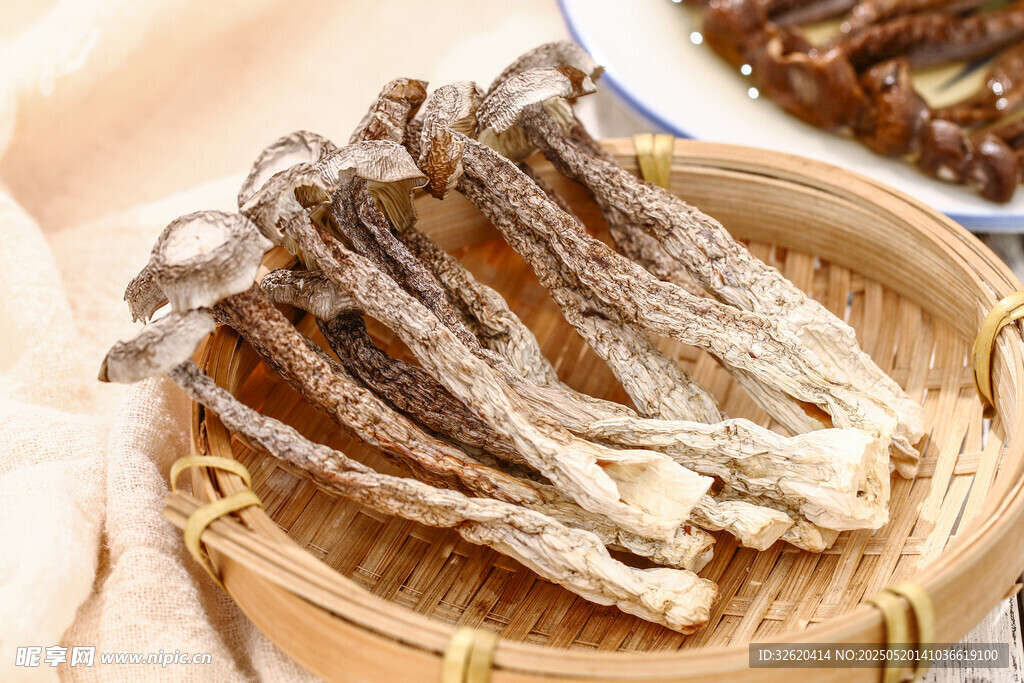 鹿茸菇