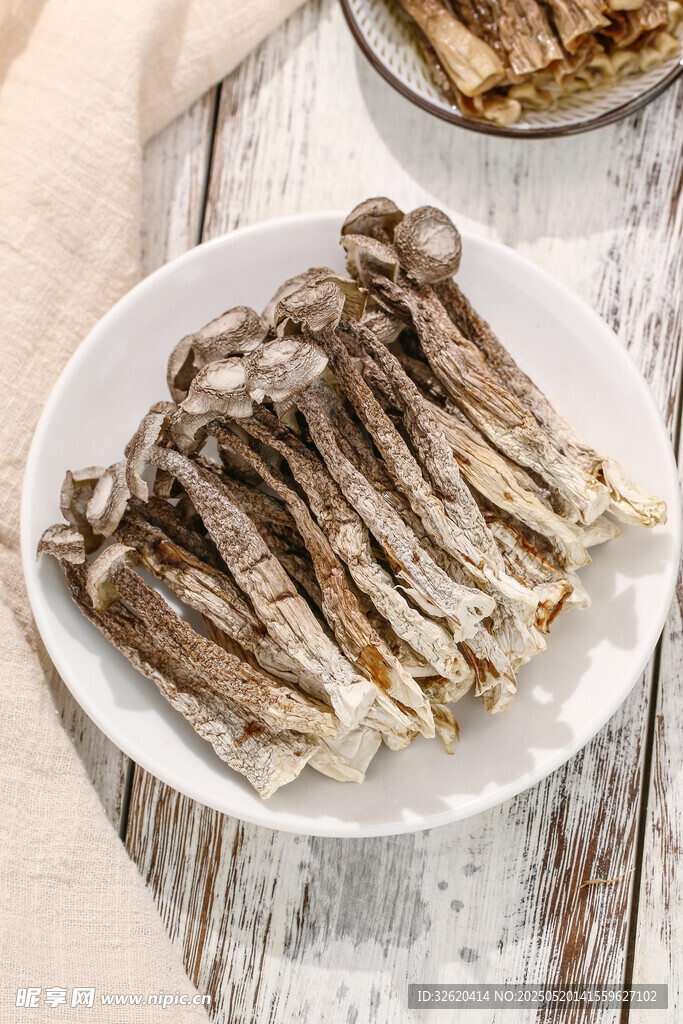 鹿茸菇