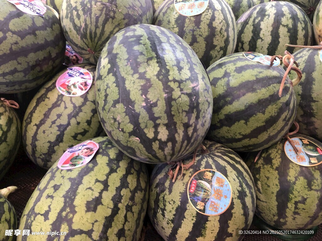 大西瓜