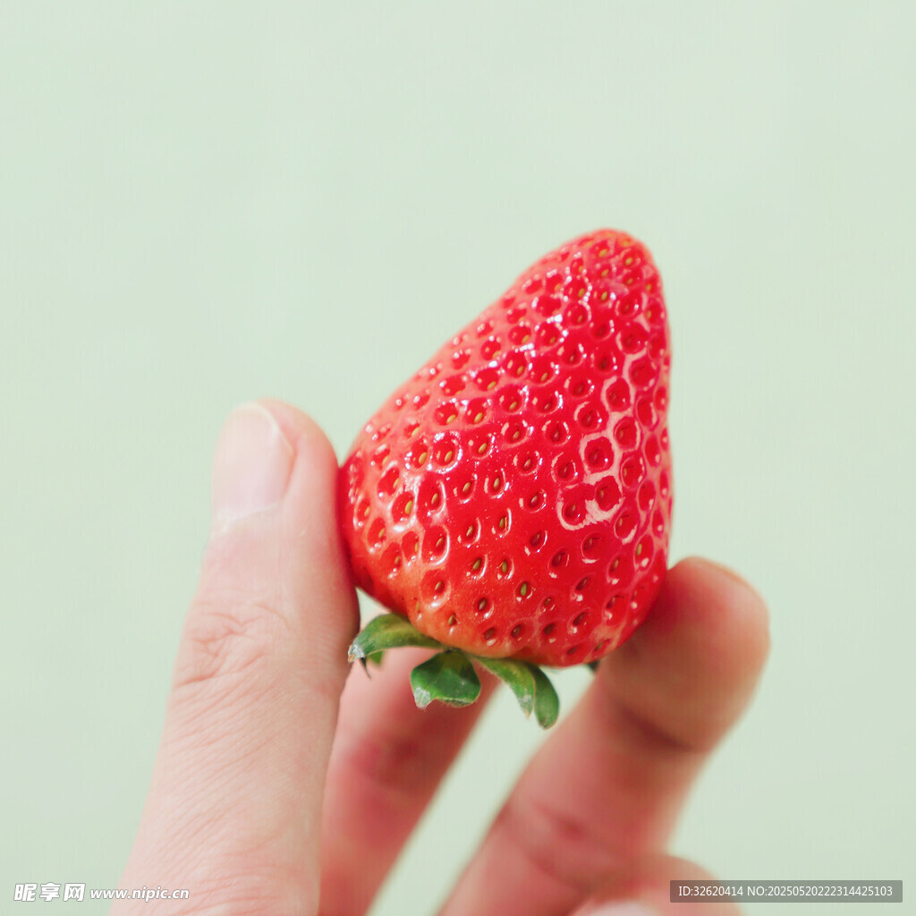 草莓
