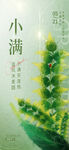 小满