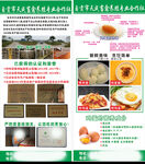 鸡蛋宣传展架