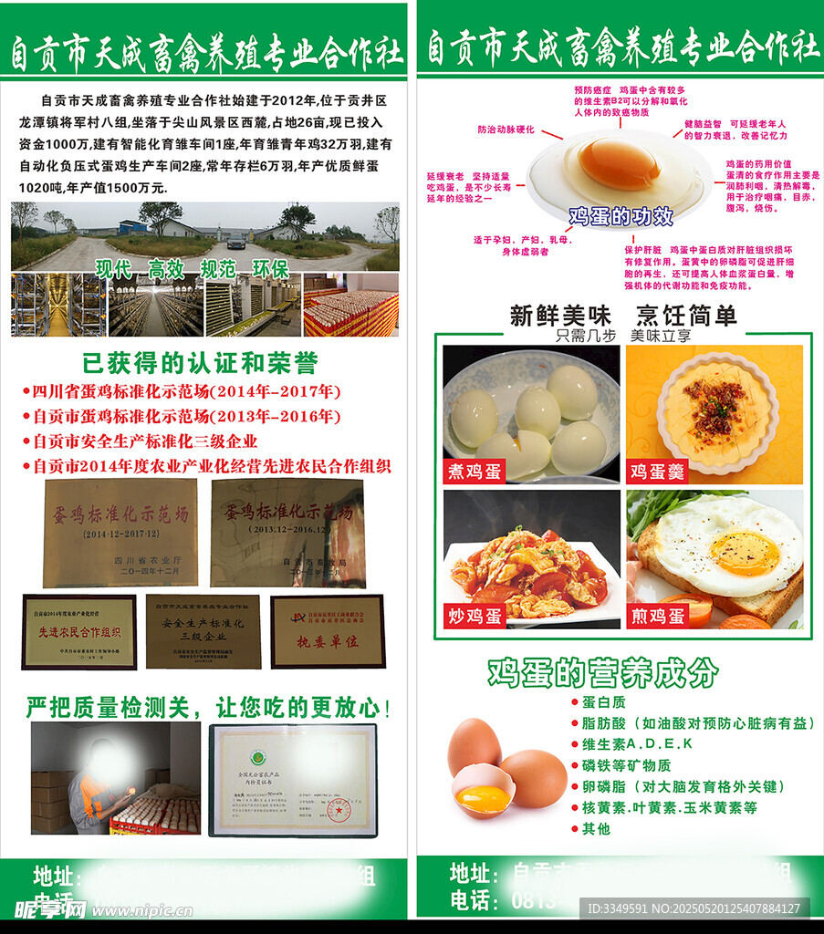 鸡蛋宣传展架