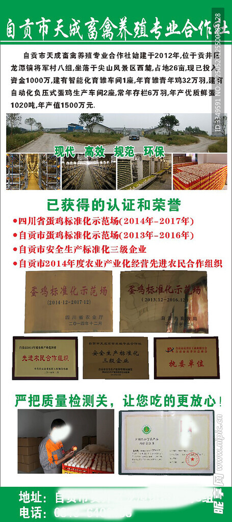 鸡蛋宣传展架