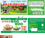 土鸡包装箱