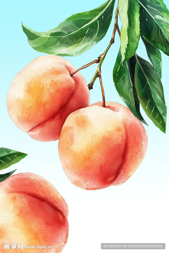 鲜桃