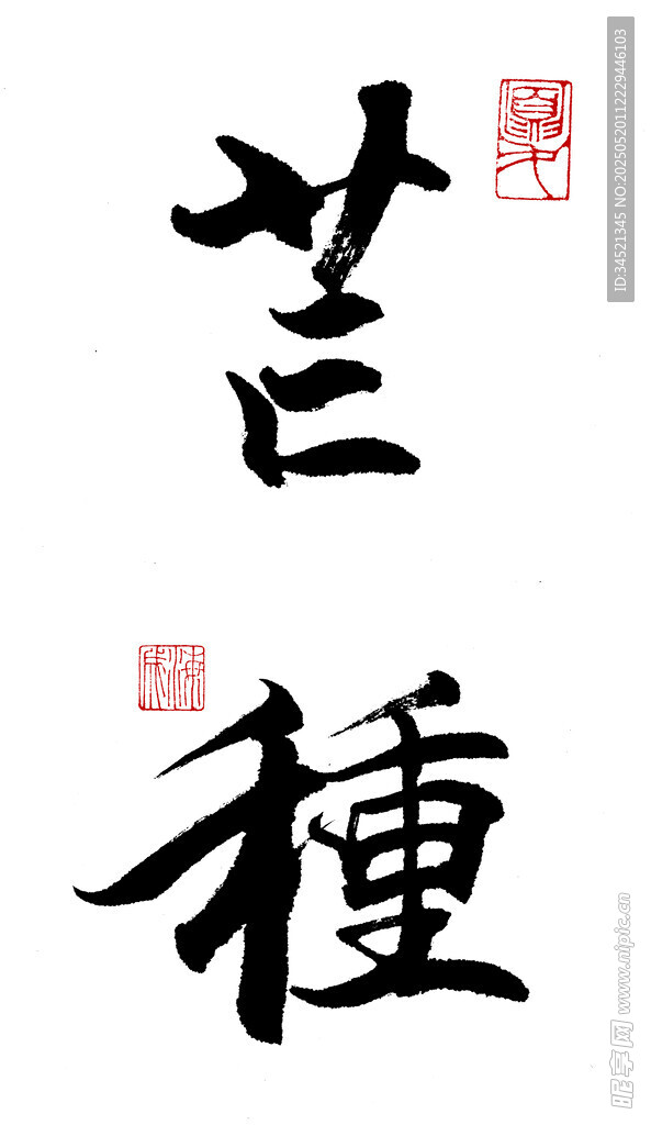 行书芒种
