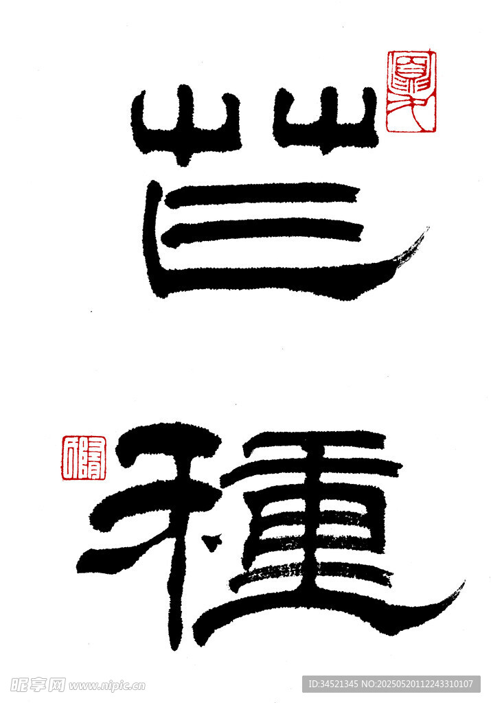 隶书芒种