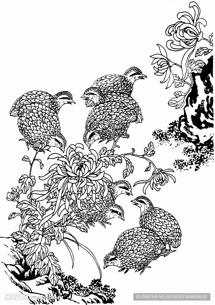 花鸟图中群鸟栖于花枝