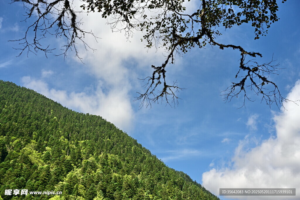 青山蓝天间的自然景致