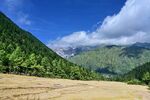 山间开阔草地与葱郁山林