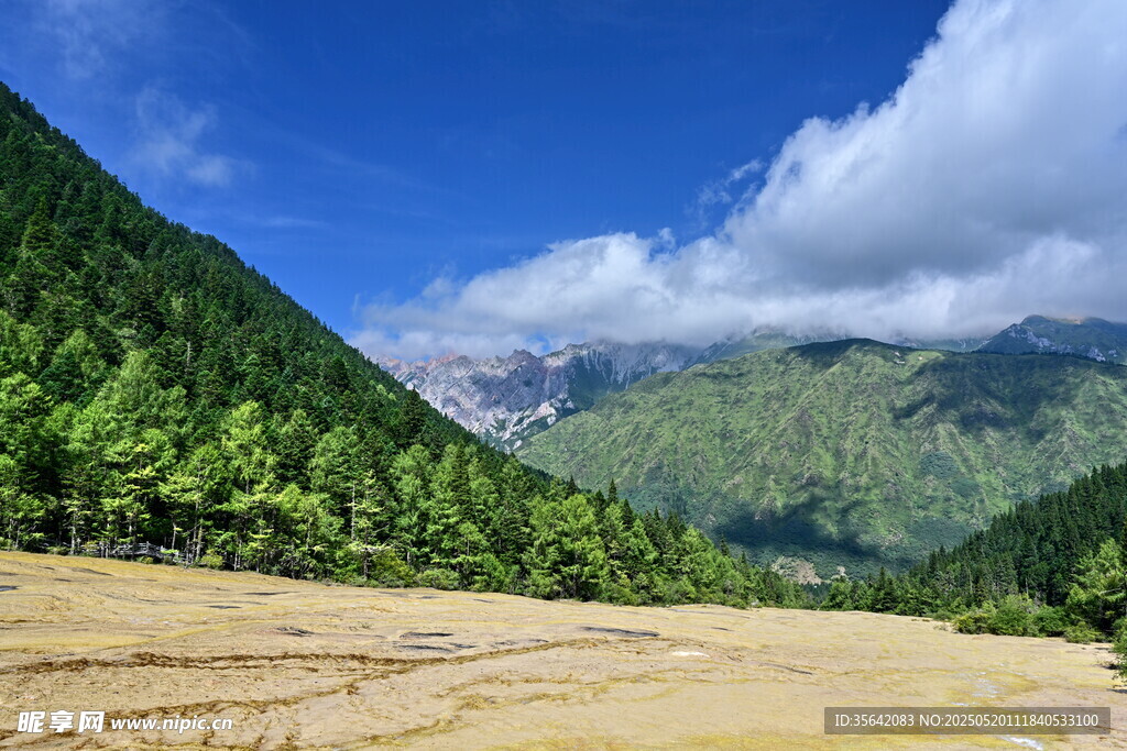 山间开阔草地与葱郁山林