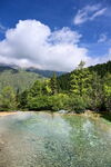 清澈山间溪流与葱郁山林