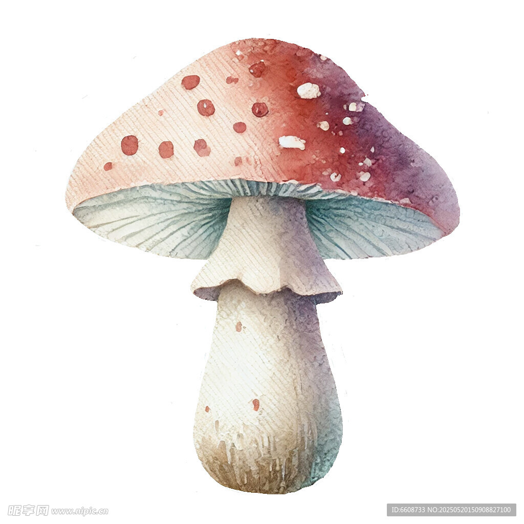 手绘梦幻斑点蘑菇插画