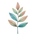 水彩绘多彩叶片植物图