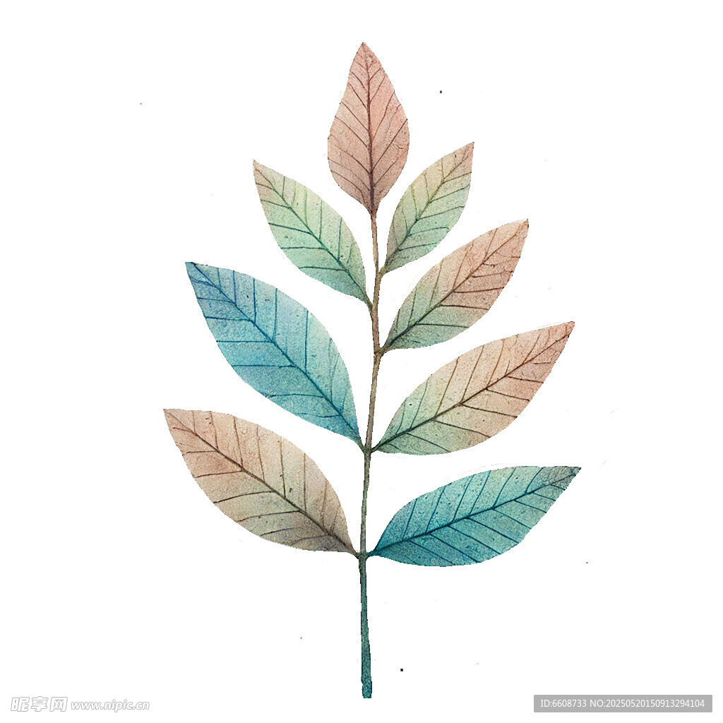 水彩绘多彩叶片植物图
