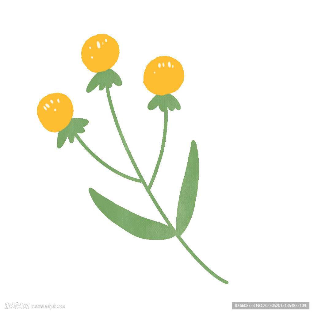 黄色小花插画
