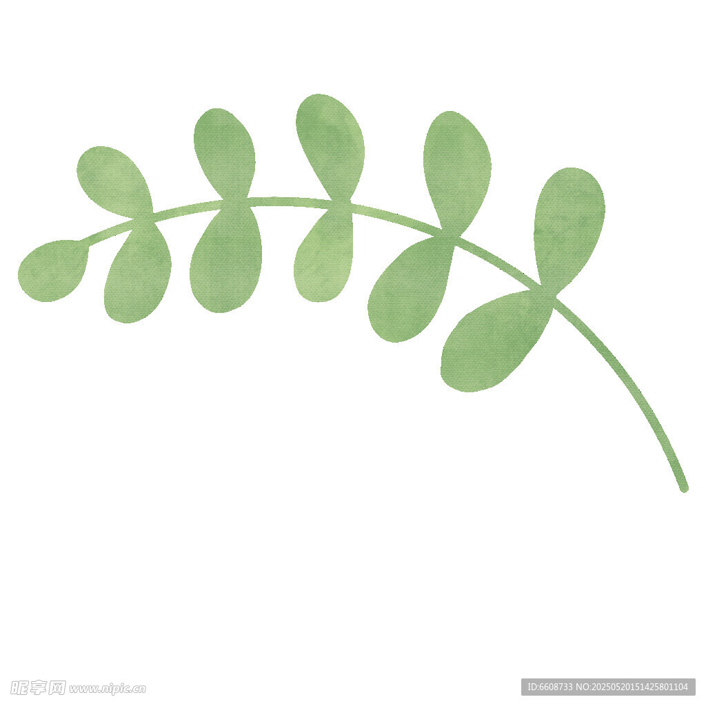 绿色简约植物枝叶图案