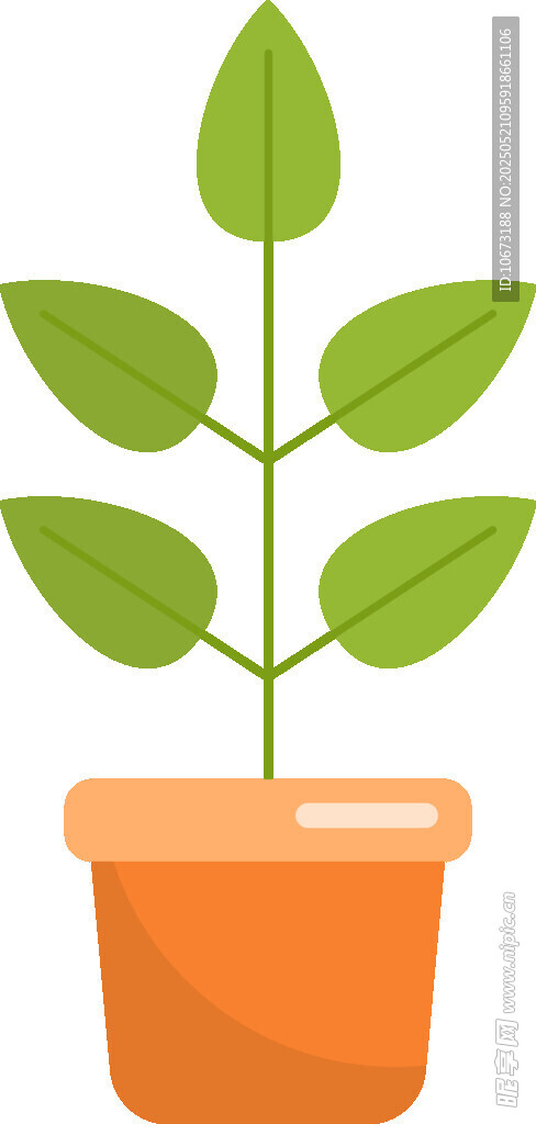 盆栽绿植 清新小植物