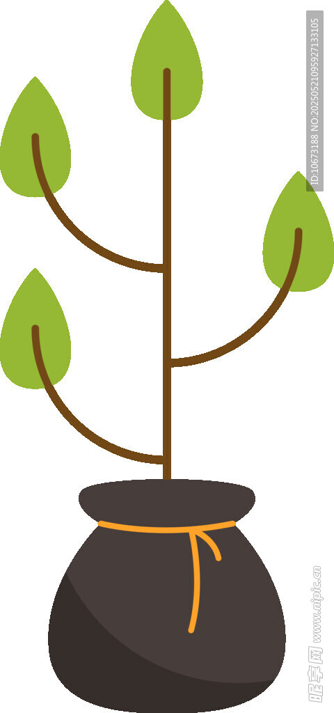 盆栽绿植 简约清新小植物