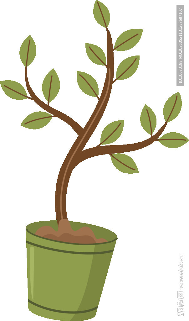 盆栽绿植 简约清新小植物
