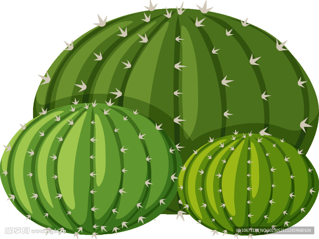 可爱圆胖仙人掌插画