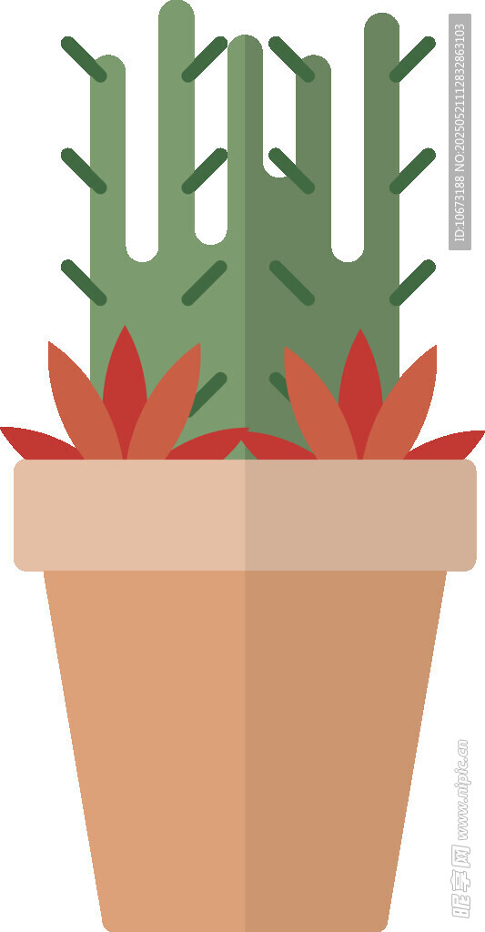 盆栽仙人掌植物插画