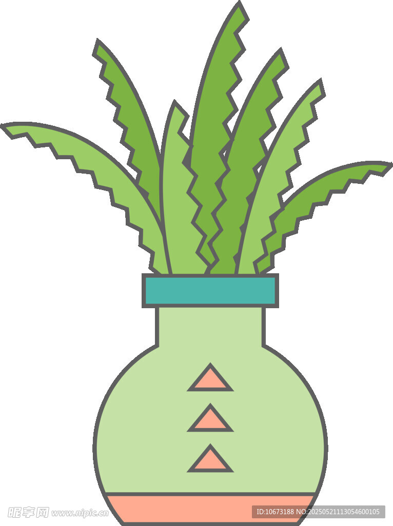 花瓶中的芦荟绿植插画